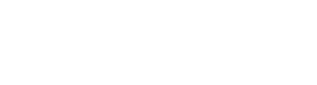 senteri.com - How machines read the web